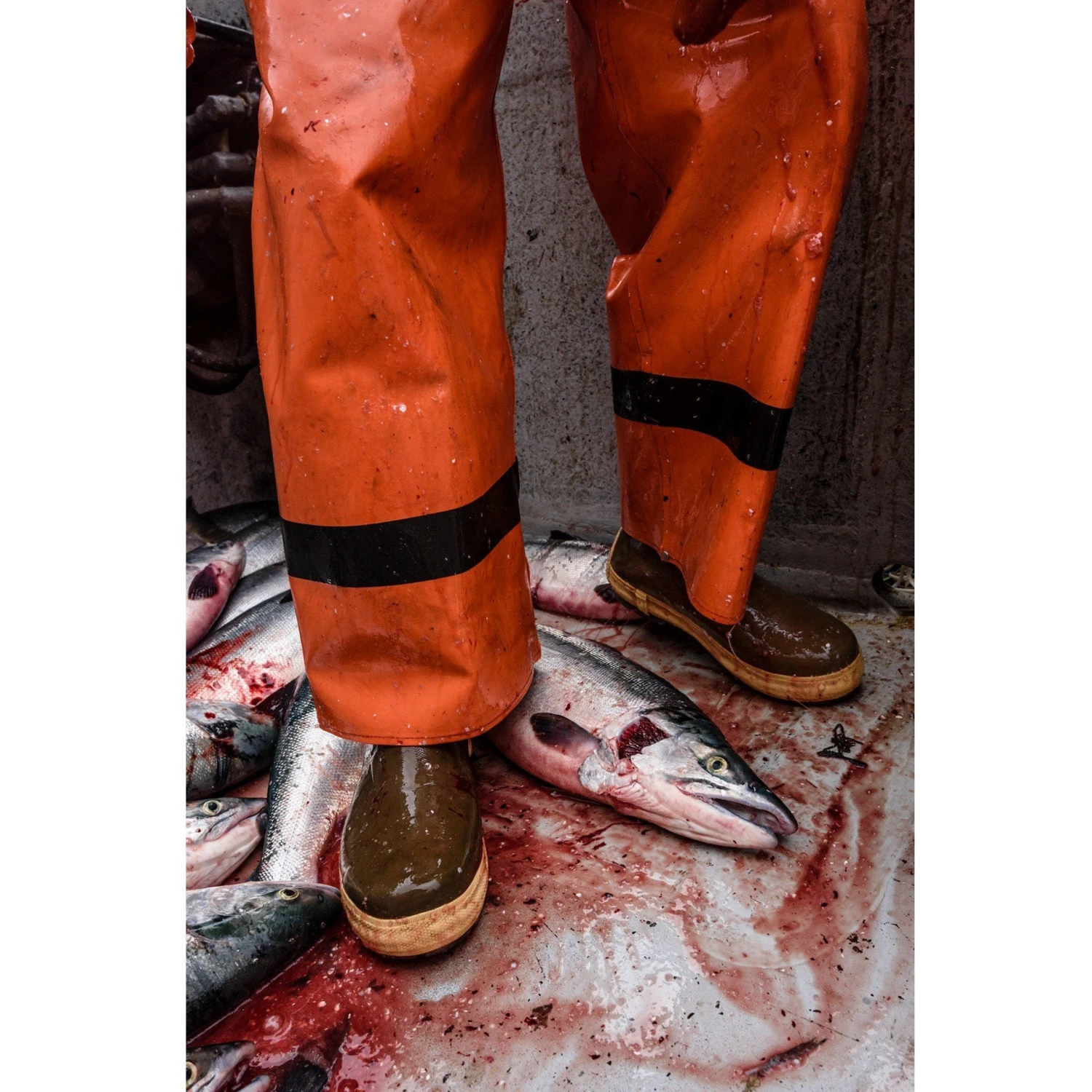 Xtratuf Men's 15" Legacy WP Rubber Work Boot - Copper - 22272G 10 Xtratuf Men's 15" Legacy WP Rubber Work Boot - Copper - 22272G - Image 8