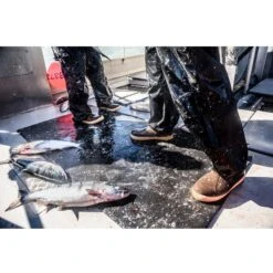 Xtratuf Men's 12" Elite Legacy WP Insulated Rubber Work Boot - Copper - 22612 -Rocky Shop 22612 CTM 8 2400x f0d61bb6 769f 4e80 8448 6e8aa4dae0bc